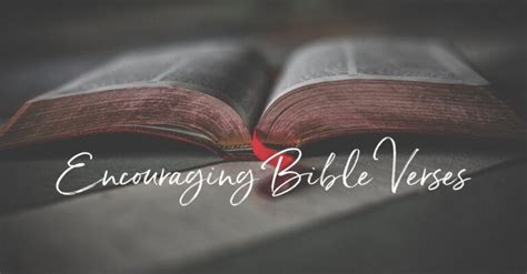 What Are the Books of Poetry in the Bible: A Diverse and Insightful Exploration